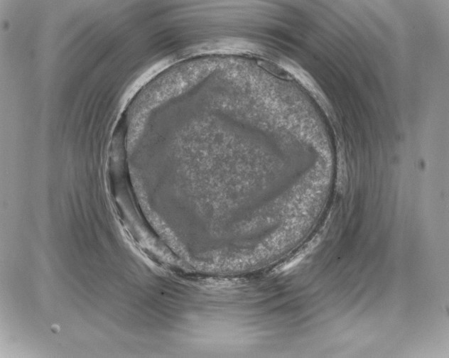 X0000085810850200704131944