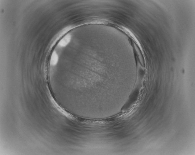 X0000085810851200704131944