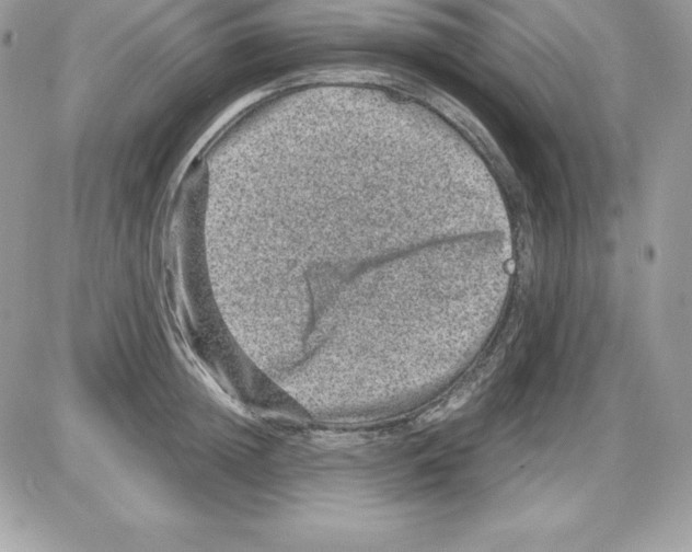 X0000085810852200704131944