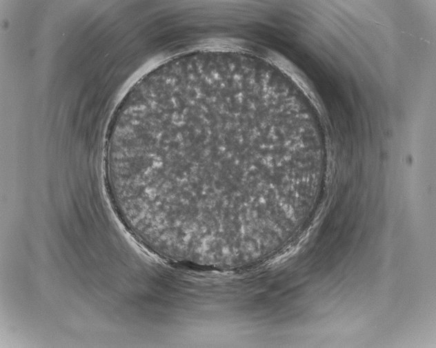 X0000085810853200704131944