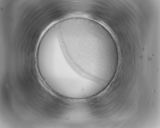 X0000085810864200704131945