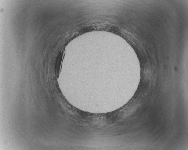 X0000085810865200704131944