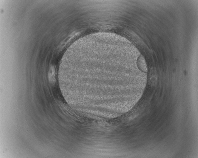 X0000085810866200704131944