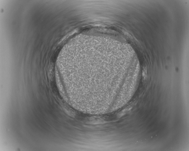 X0000085810867200704131944