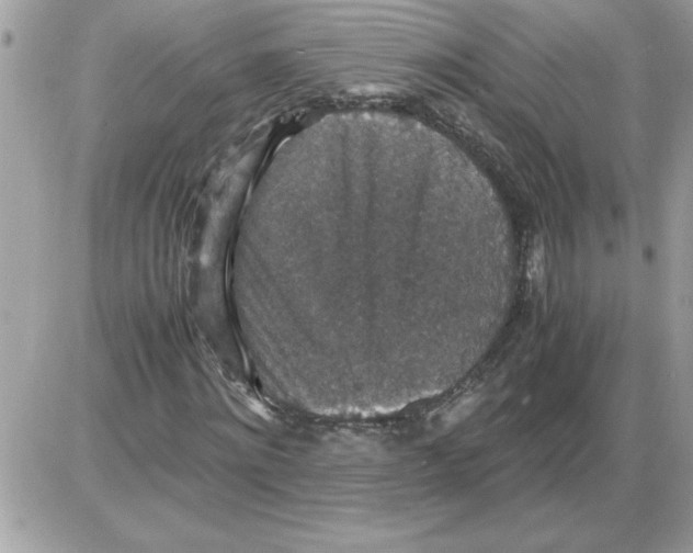 X0000085810868200704131944