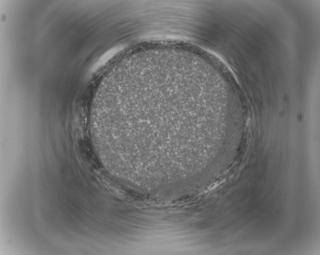 X0000085810871200704131944