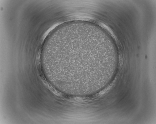 X0000085810875200704131944