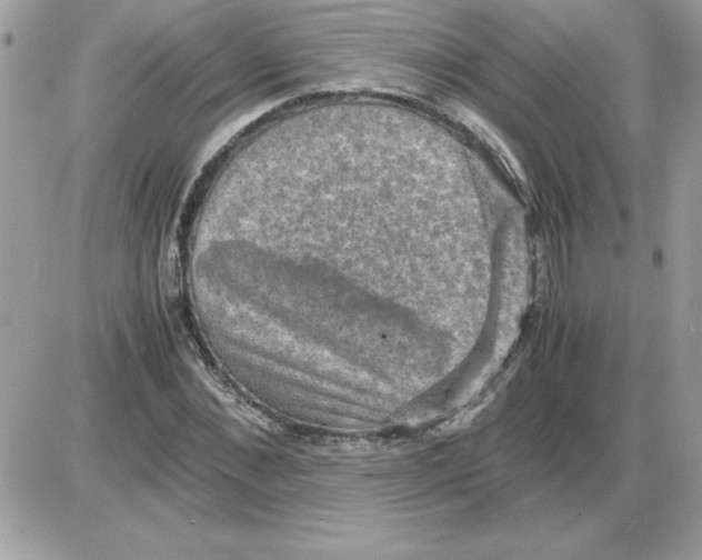 X0000085810876200704131944