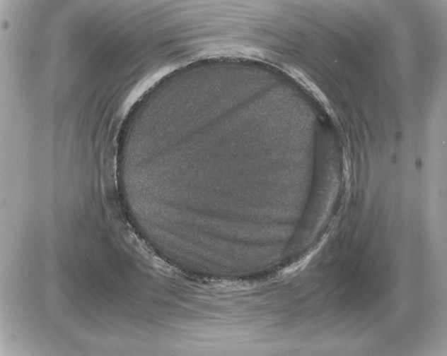 X0000085810877200704131944