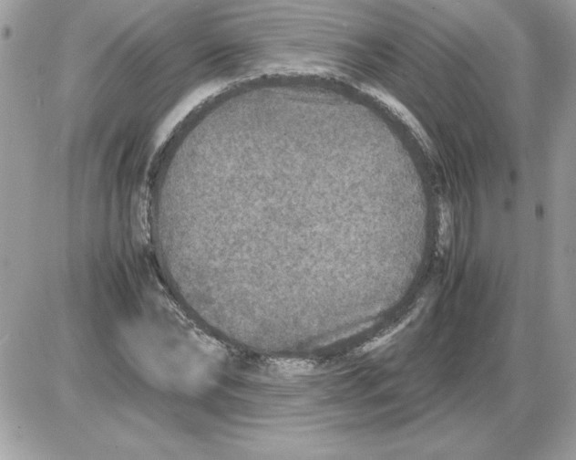 X0000085810878200704131944