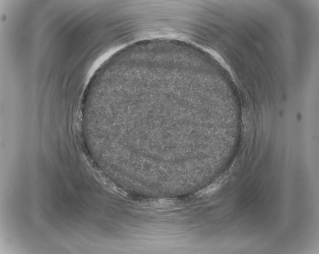 X0000085810879200704131944