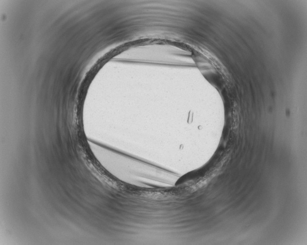 X0000085810880200704131944