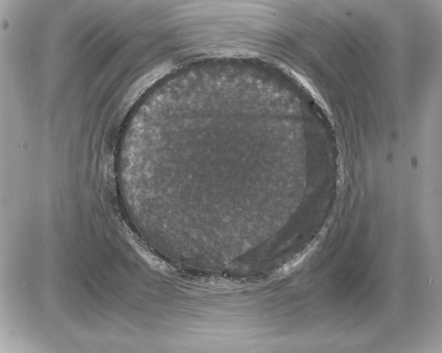 X0000085810881200704131944