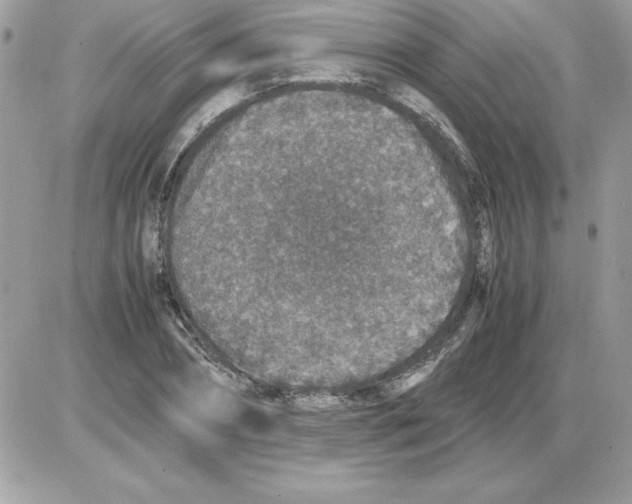 X0000085810882200704131944