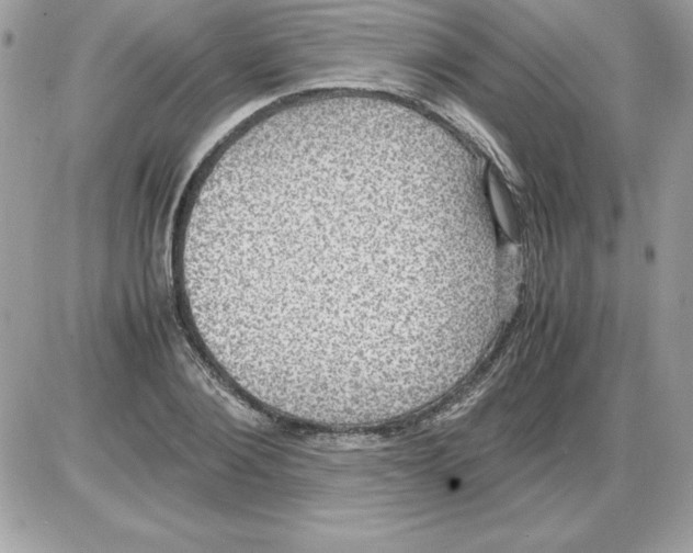 X0000085810884200704131944