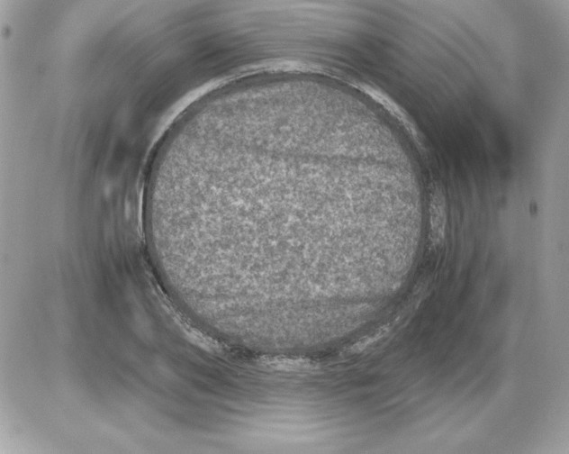 X0000085810886200704131944