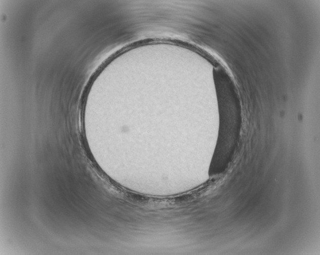 X0000085810887200704131944