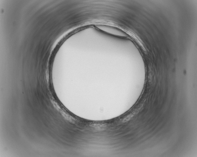 X0000085810888200704131943