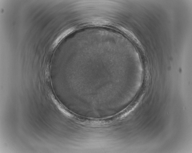 X0000085810889200704131943