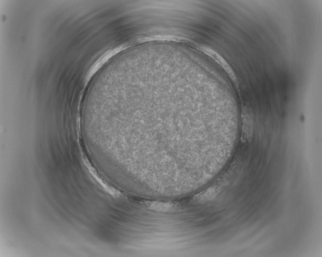 X0000085810890200704131943