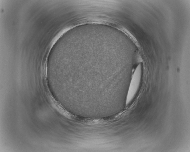 X0000085810891200704131943