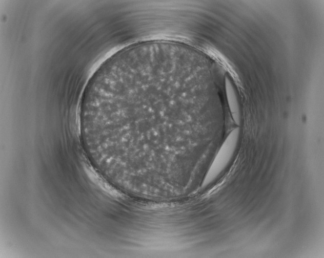 X0000085810892200704131943