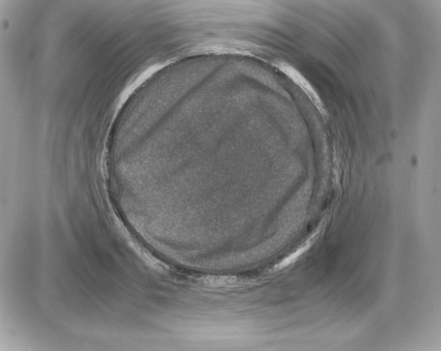 X0000085810893200704131943