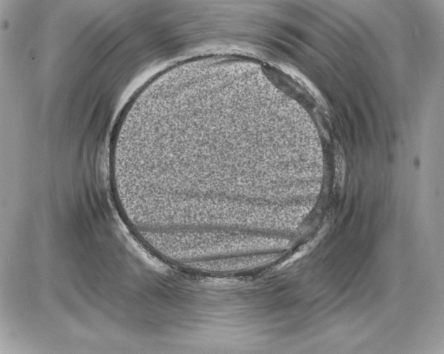 X0000085810894200704131943