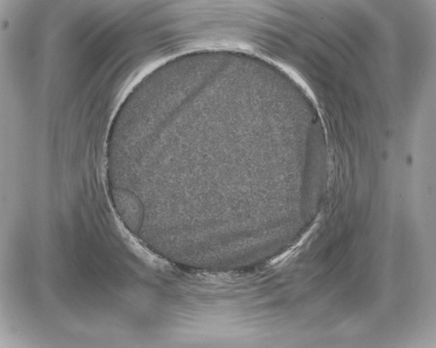 X0000085810895200704131943