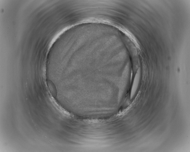 X0000085810896200704131943