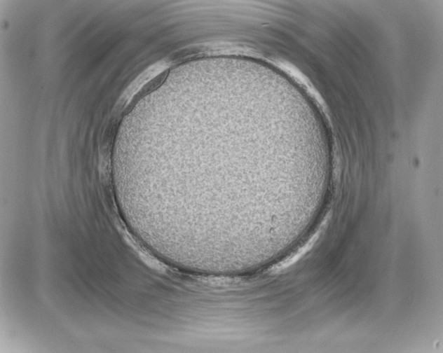 X0000085810897200704131943