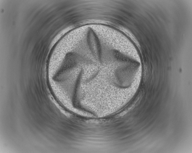 X0000085810898200704131943