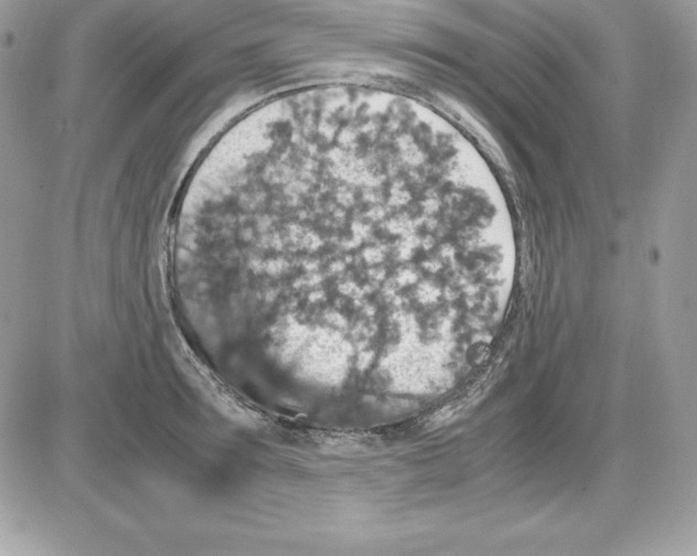 X0000085810899200704131943