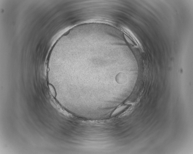 X0000085810900200704131943