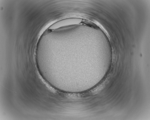 X0000085810901200704131943