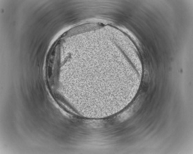 X0000085810902200704131943