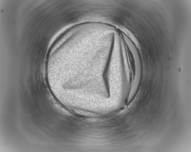 X0000085810904200704131943