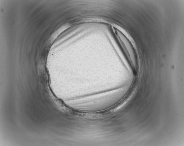 X0000085810905200704131943