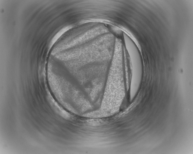 X0000085810906200704131943