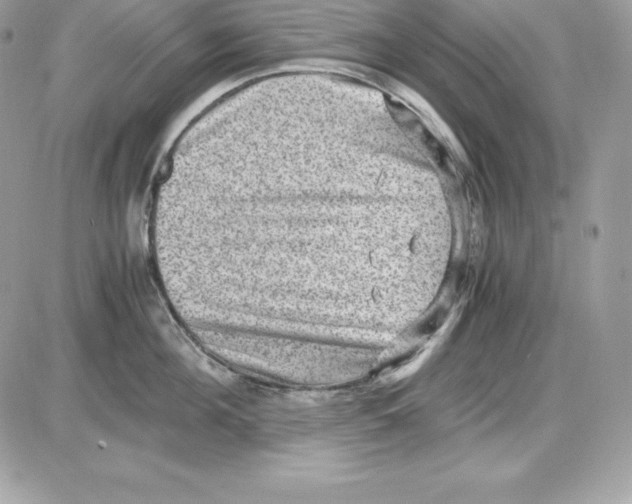 X0000085810908200704131943