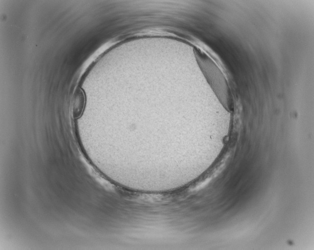 X0000085810909200704131943