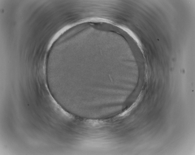 X0000085810910200704131943