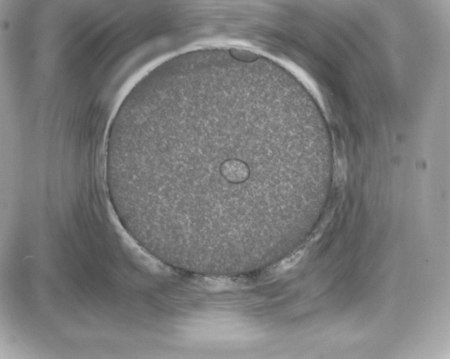 X0000085810911200704131943