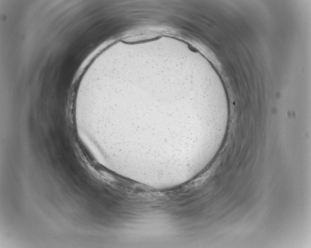 X0000085810912200704131943