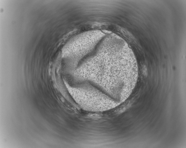 X0000085810914200704131942