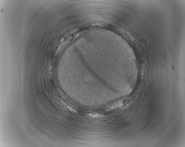 X0000085810916200704131942