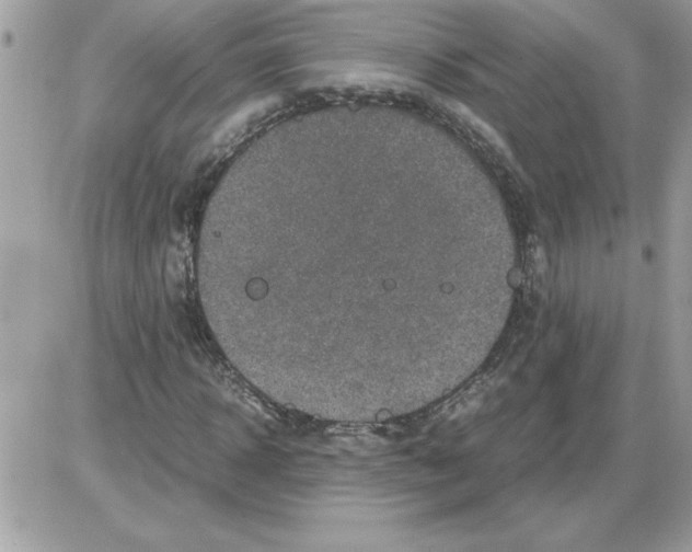 X0000085810918200704131942