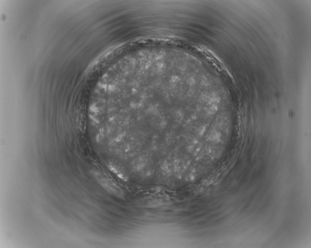 X0000085810919200704131942