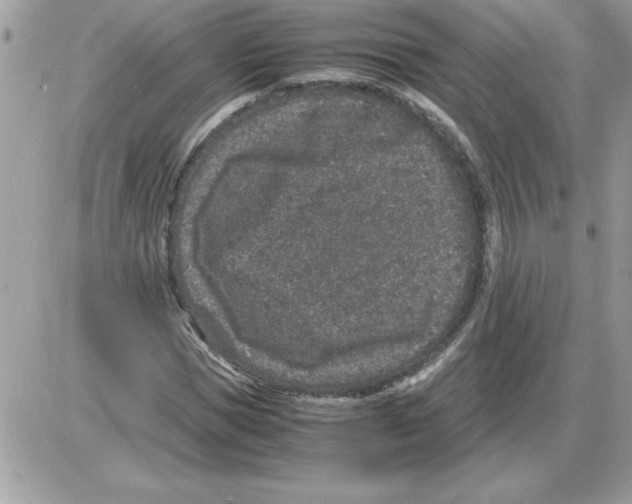 X0000085810921200704131942