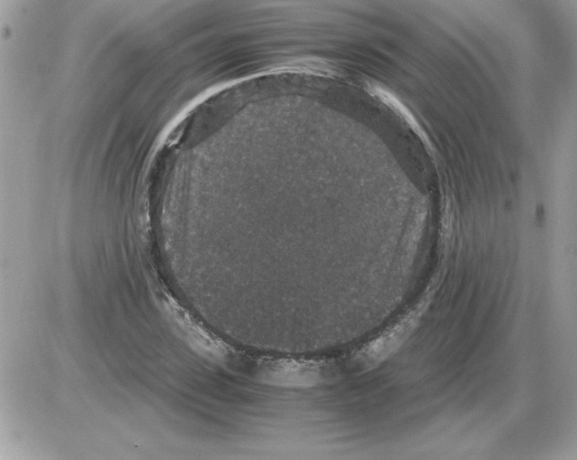 X0000085810923200704131942